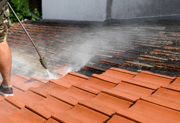 Roof Power Washing Services in Verdi, NV