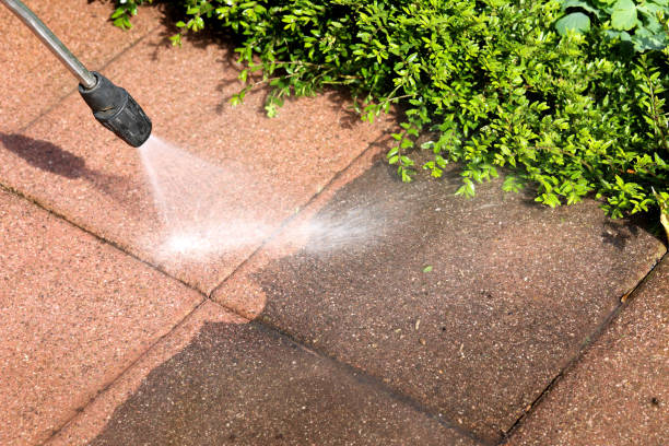 Best Roof Pressure Washing  in Verdi, NV